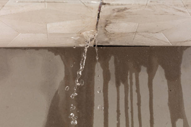 Professional Structural Drying technician working in Rootstown, OH